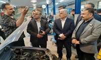 پویش «امداد ایران ماهر»  جهادی برای خدمت به ایثارگران و خانواده شهداء